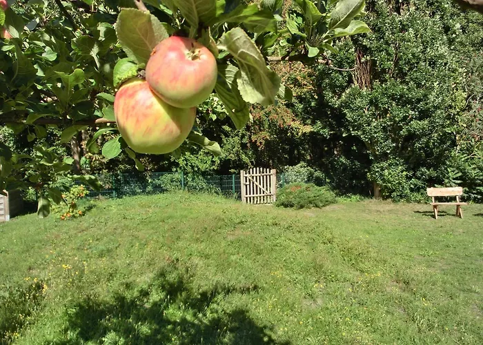 Apartman Strandstrasse 60 S16 *